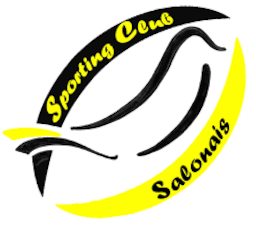 Sporting Club Salonais 