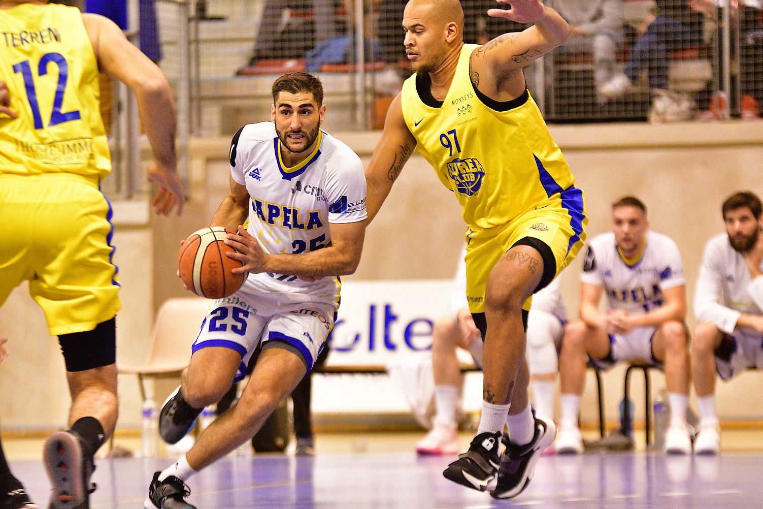 photo de couverture Pays Salonais Basket 13